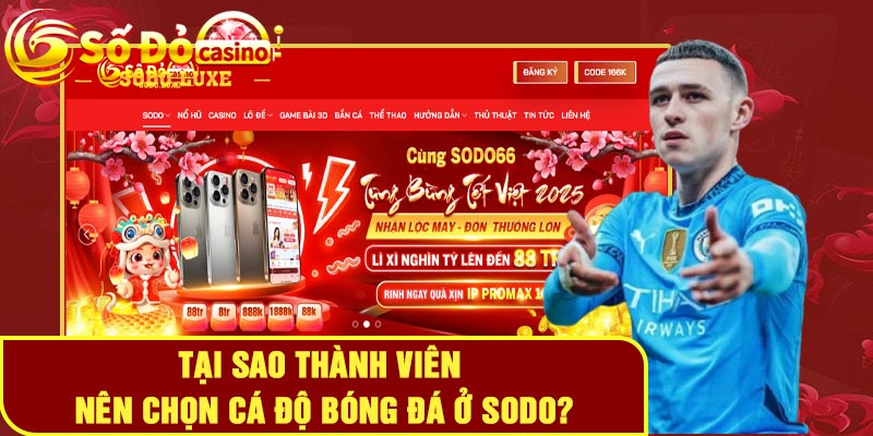 Tại sao thành viên nên chọn cá độ bóng đá ở Sodo?